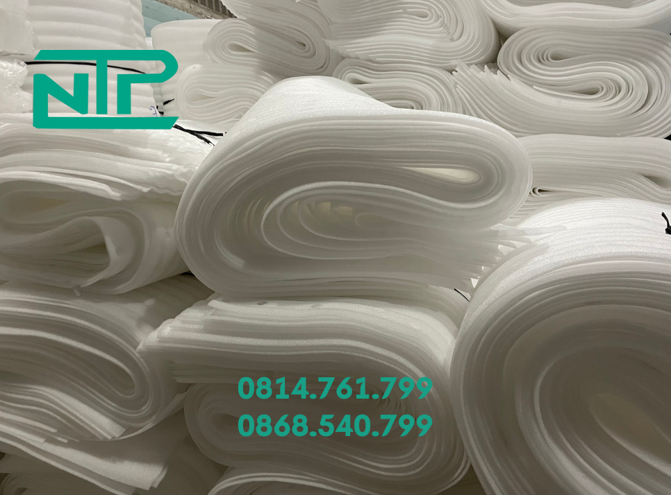 Mút xốp lót xoài