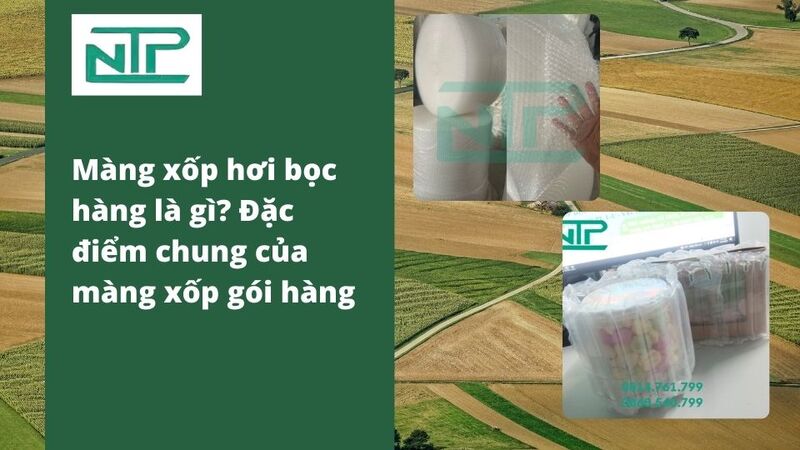 Màng xốp hơi bọc hàng là gì? Đặc điểm chung của màng xốp gói hàng