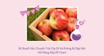 Bí Quyết Vận Chuyển Trái Cây Đi Xa Không Bị Dập Nát Với Màng Xốp PE Foam