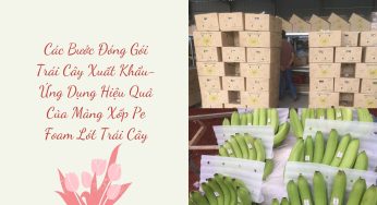 Các Bước Đóng Gói Trái Cây Xuất Khẩu-Ứng Dụng Hiệu Quả Của Màng Xốp Pe Foam Lót Trái Cây