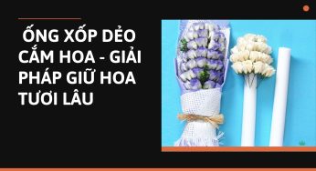  ỐNG XỐP DẺO CẮM HOA – GIẢI PHÁP GIỮ HOA TƯƠI LÂU